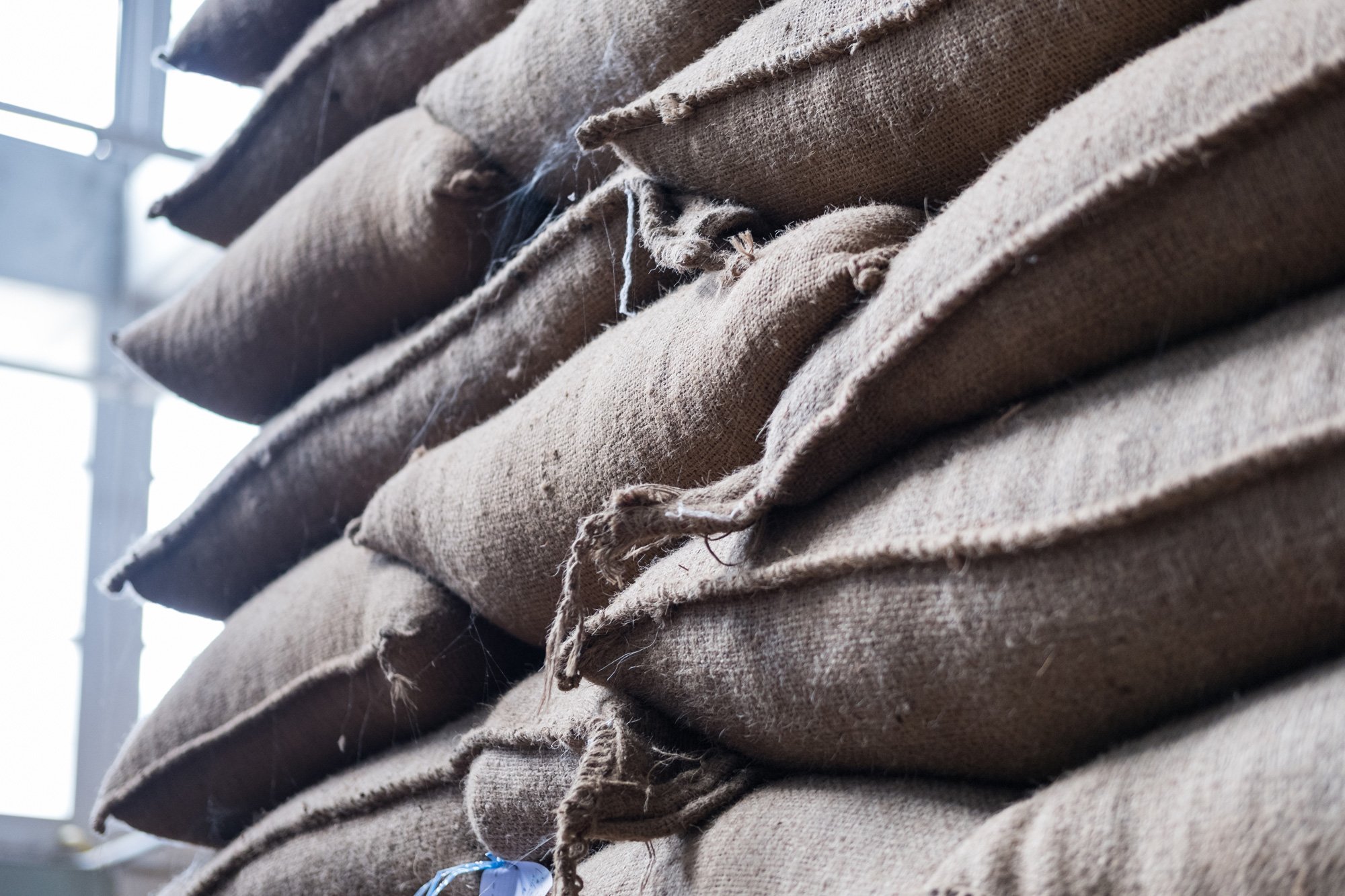 How To Properly Store Your Green Coffee Beans Before Roasting Green