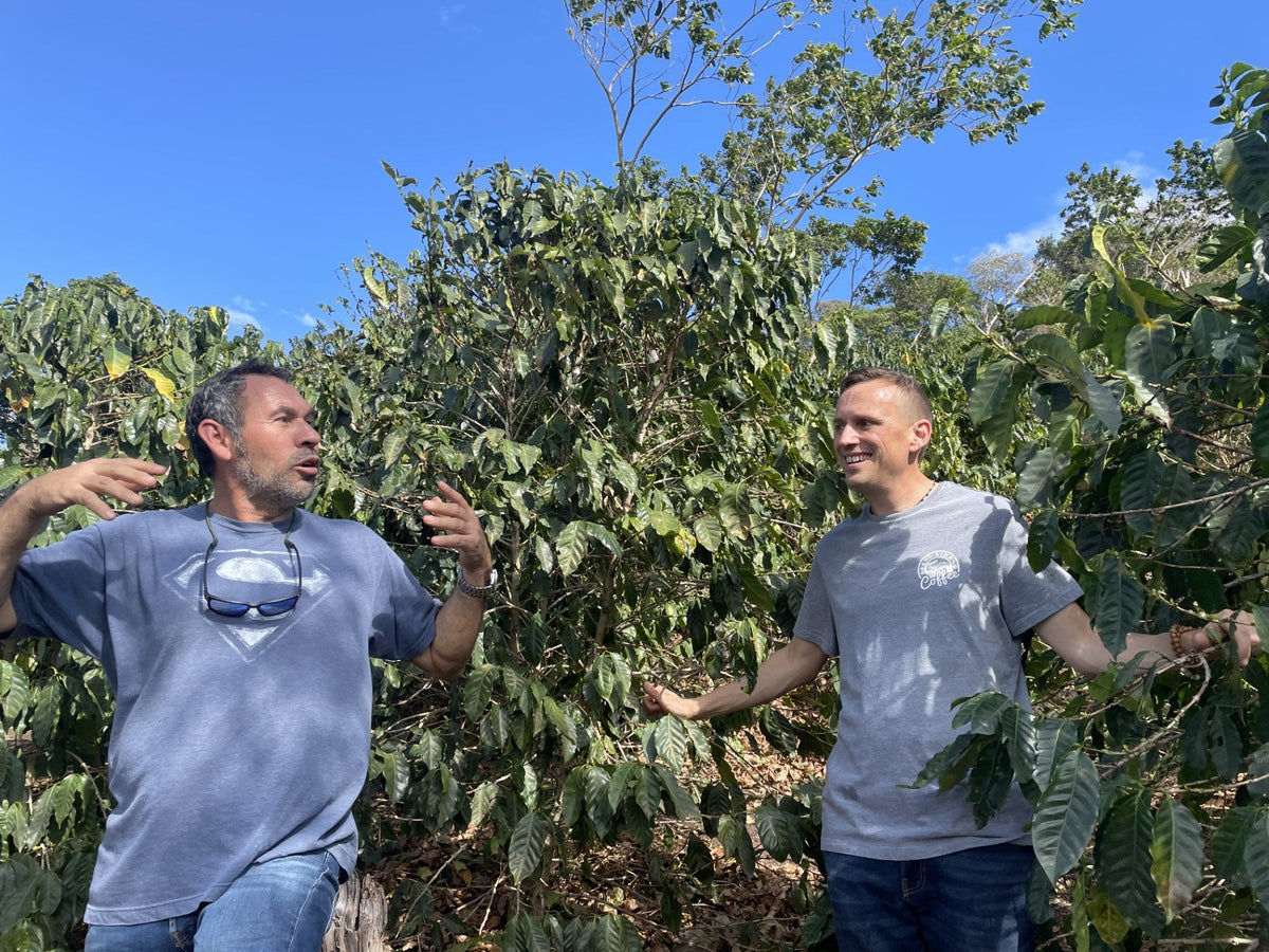 Two people talking among coffee trees on a farm