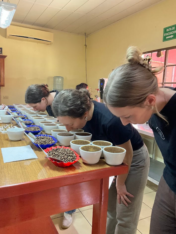 Cuppers smelling coffee samples on a long cupping table in Nicaragua