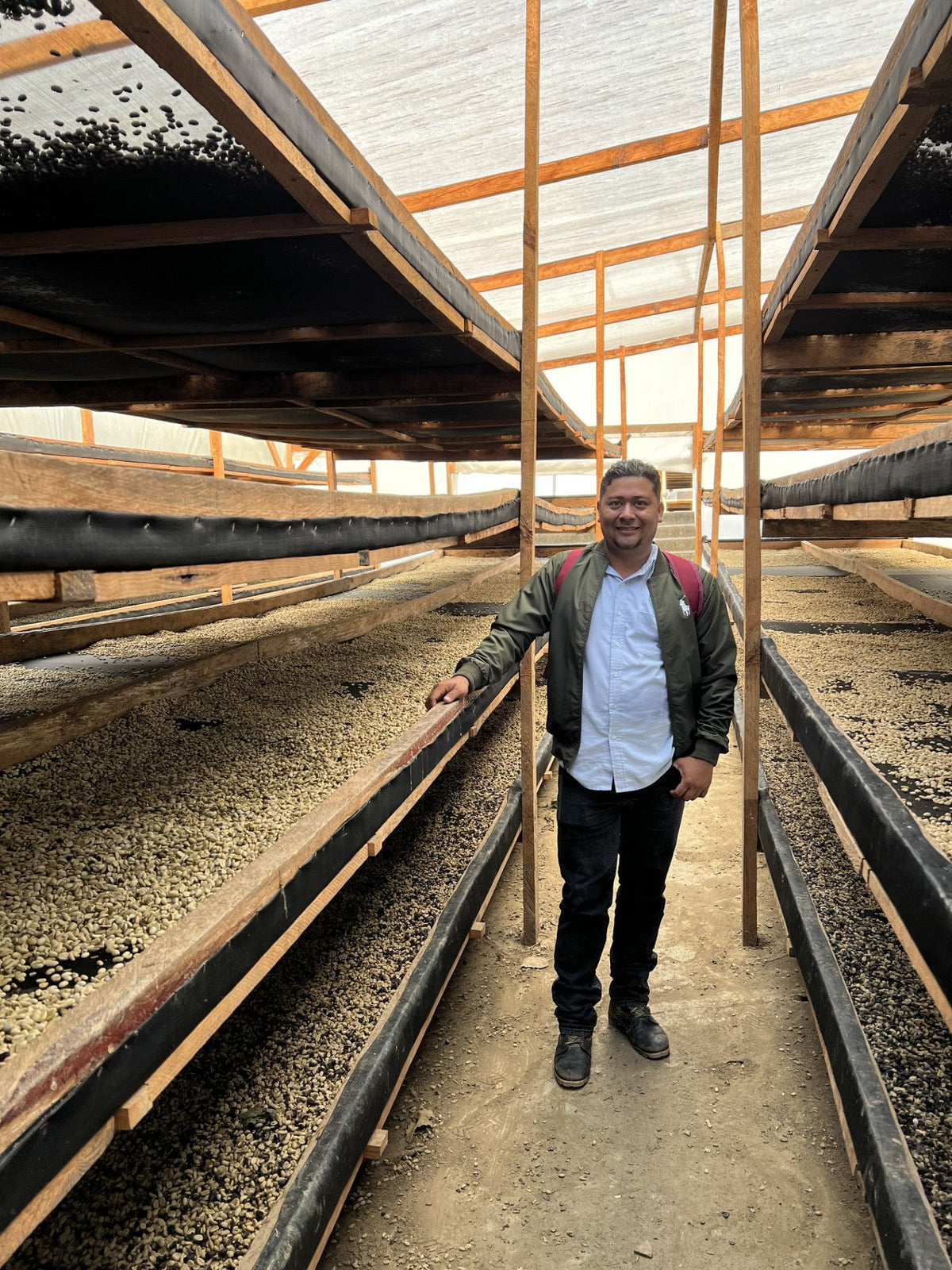 Person standing between raised beds of drying parchment coffee in a covered dryer in Nicaragua
