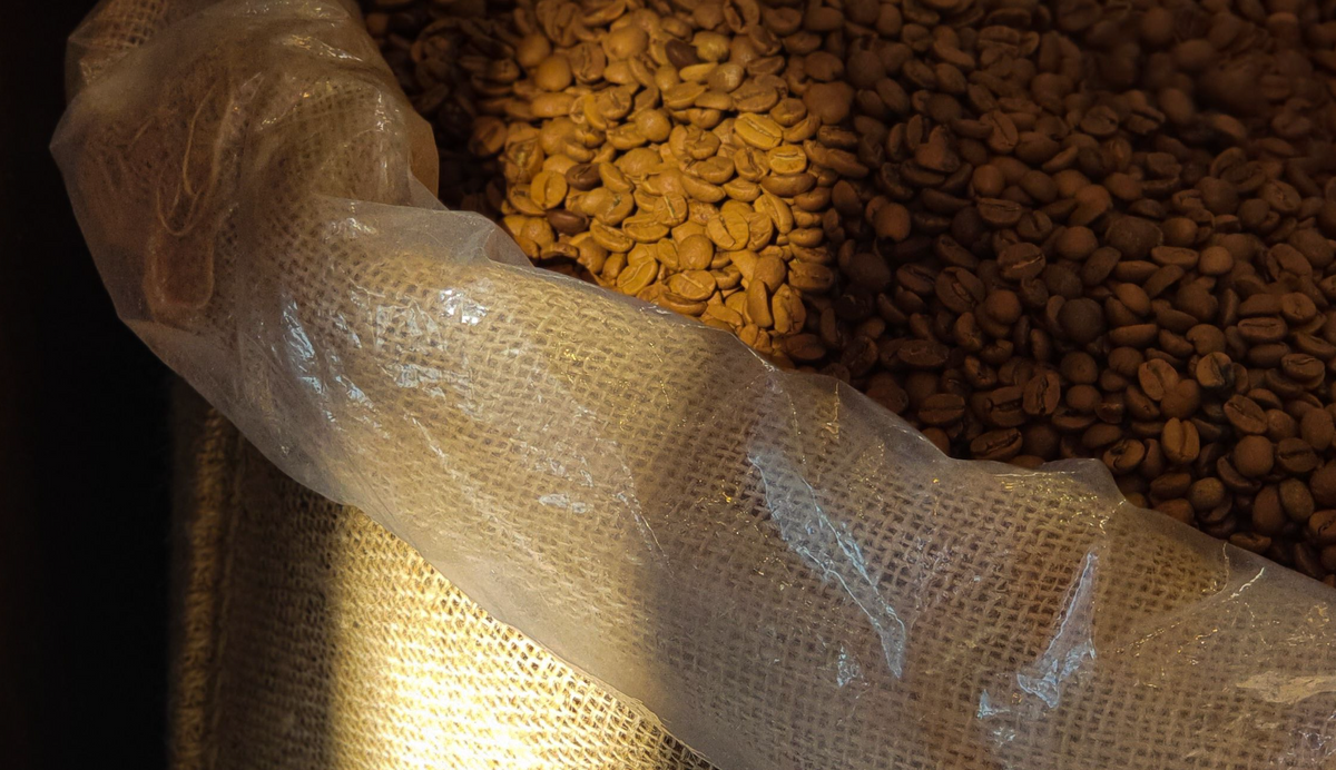 Green coffee in an open jute bag with its hermetic liner folded back