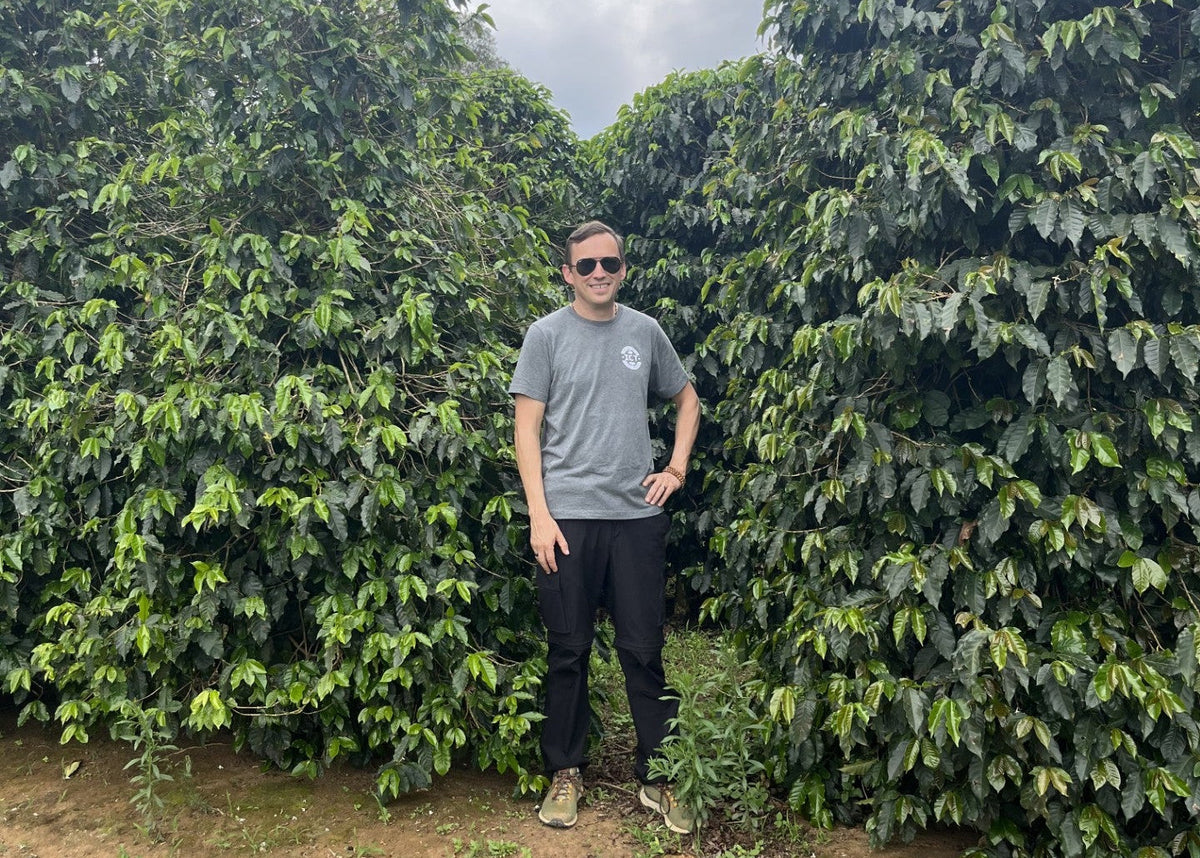 ICT team member standing between rows of coffee trees in Brazil