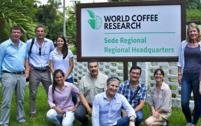 Sustaining the Future of Coffee: ICT Coffee’s Partnership with World Coffee Research