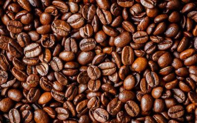 The Big Four: A Complete Guide to the 4 Main Types of Coffee Beans