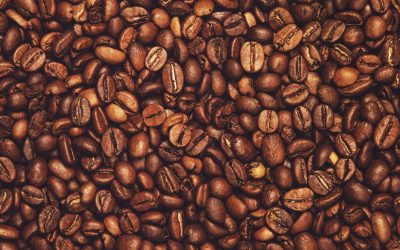 Coffee bean selection guide how to choose the right wholesale coffee beans for your coffee shop
