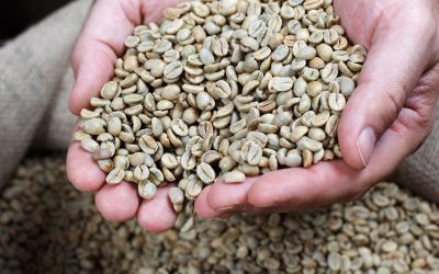 Green Coffee Beans for Sale: What to Look for When Buying Green Coffee Beans