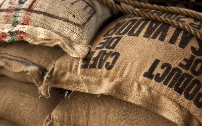 Wholesale Benefits: How to Choose the Best Bulk Coffee Beans
