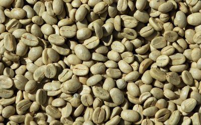 Common questions asked about unroasted green coffee beans