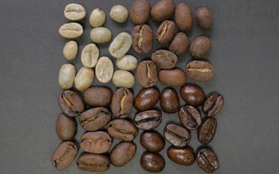 Which Coffee Beans Make the Best Light Roast Coffee?