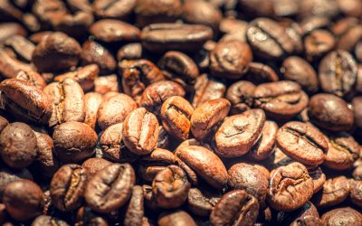 See the Light: Your Essential Guide to Preparing Light Roast Coffee