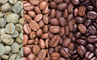 Does Coffee Go Bad?: The Top 5 Tips for Storing Coffee Beans