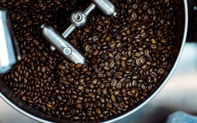 Are Freshly Roasted Coffee Beans Better?