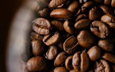 The Science of Coffee Bean Density: Why It Matters for Roasting