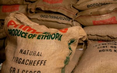 Why Ethiopian Coffee Dominates the Specialty Market: An In-Depth Analysis