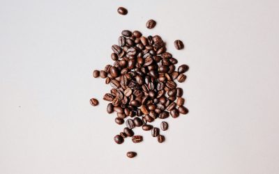 High-Caffeine Coffee Varieties: Expert Insights for Roasters